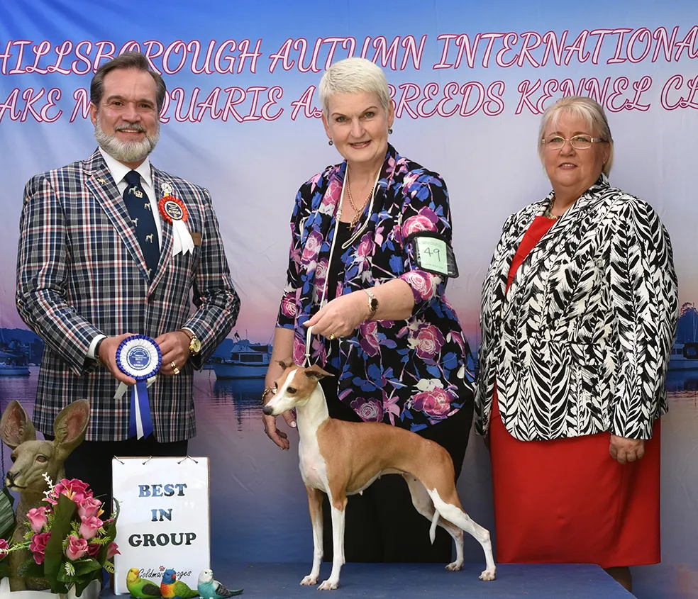 USA GCH Ch Gioia Mia's Moulin Rouge At Honore