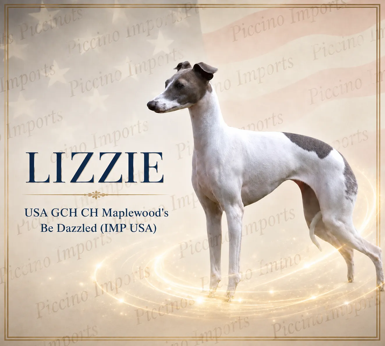 Piccino Imports poster for Lizzie, a blue and white Italian Greyhound, standing in profile over a ring of golden light.