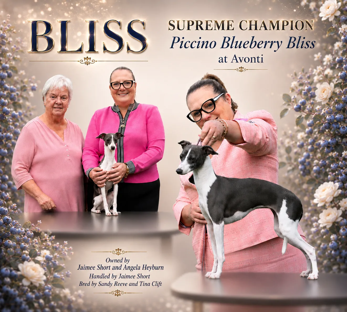Poster for Bliss, a blue and white Italian Greyhound, shown standing on the table with her owners Jaimee Short and Angela Heyburn, and again stacked by Jaimee, against a background of blueberries and white roses.