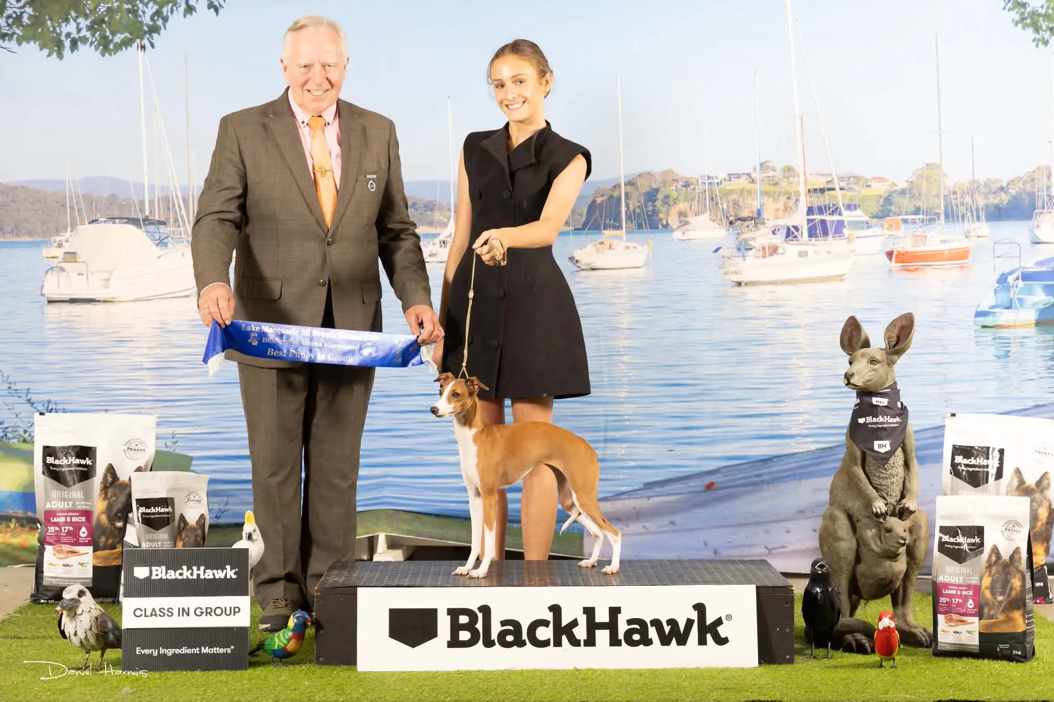 Boots, a red and white Italian Greyhound, standing on the podium as she is awarded Best Puppy in Group at the Lake Macquarie All Breeds Kennel Club Hillsborough Autumn International, the judge holding the sash beside her handler Fleur Robbins.
