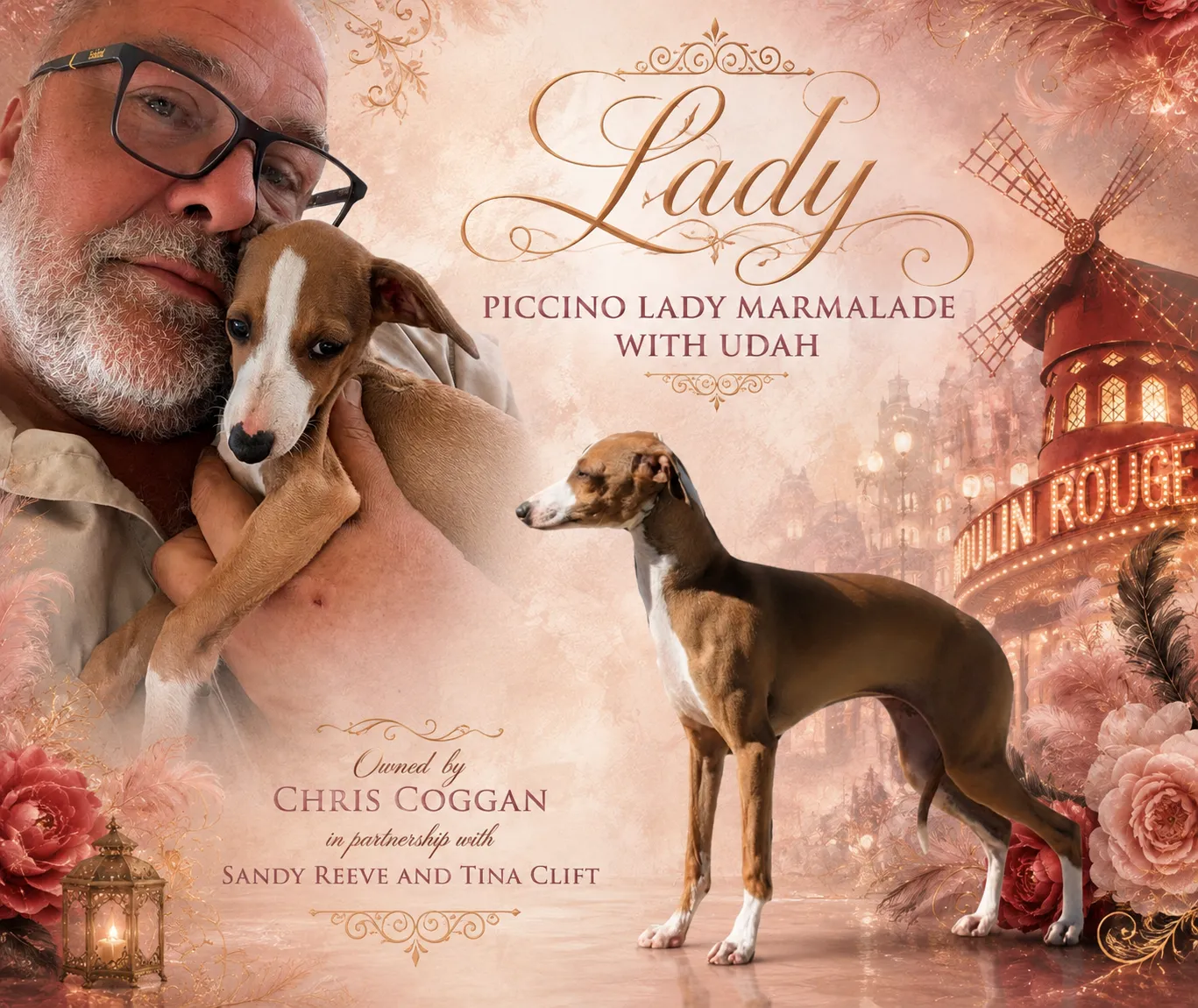 Poster for Lady, a fawn and white Italian Greyhound, shown as a puppy held by Chris Coggan and in a standing profile against a pink Moulin Rouge backdrop.